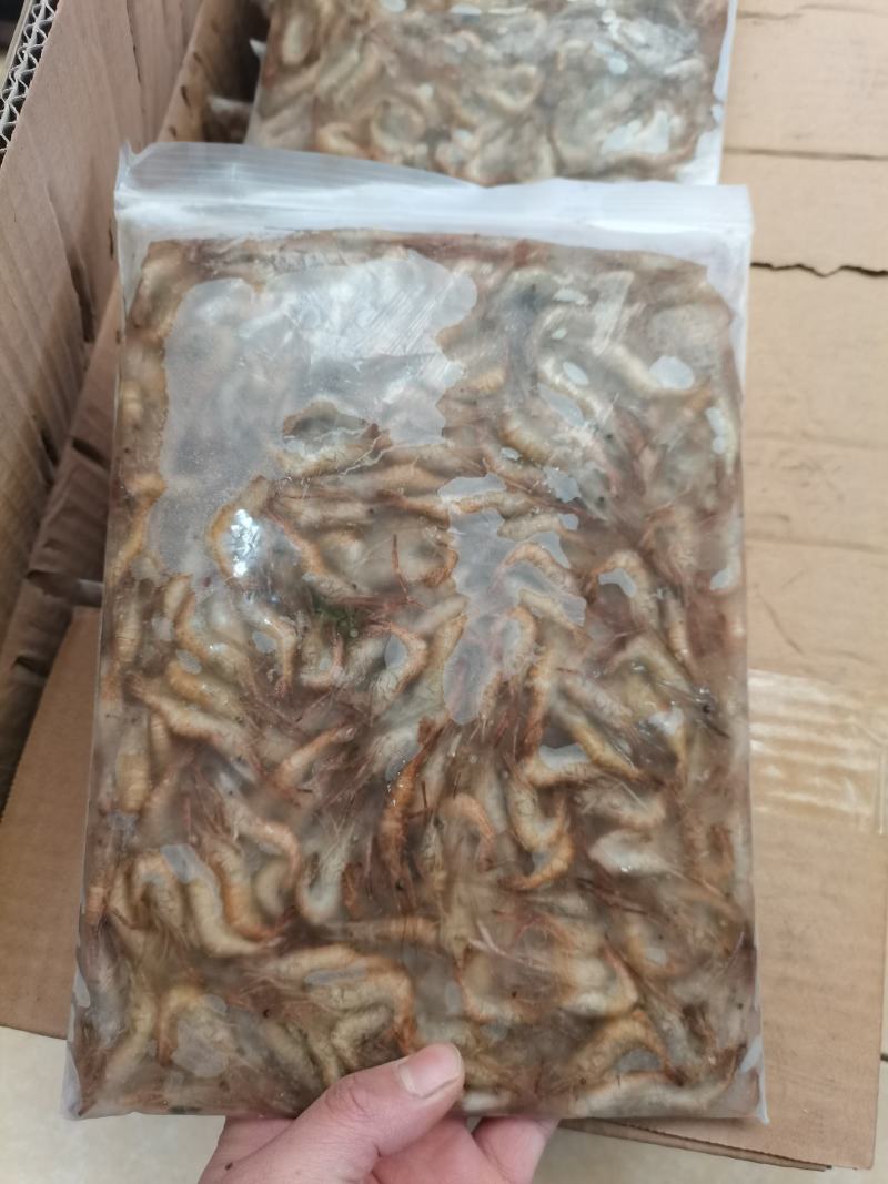 小河虾