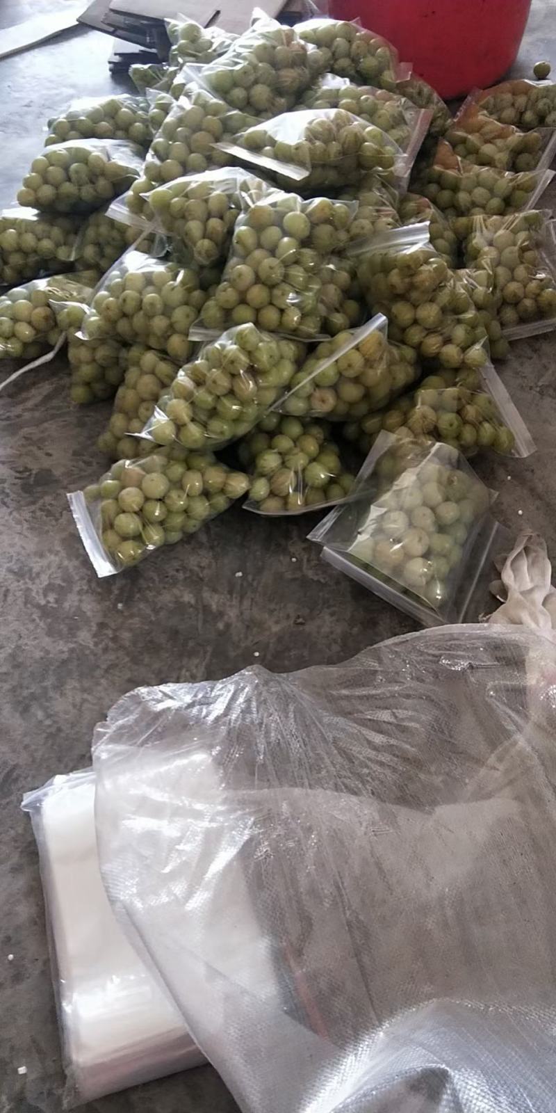 批发油甘潮汕汕头金灶金玉新鲜水果炸果汁现货