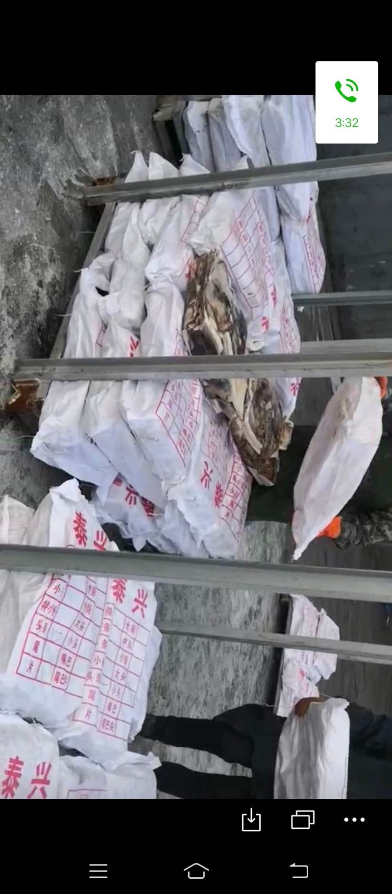 鱿鱼