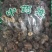 余甘子正品无硫牛甘果庵摩勒包邮