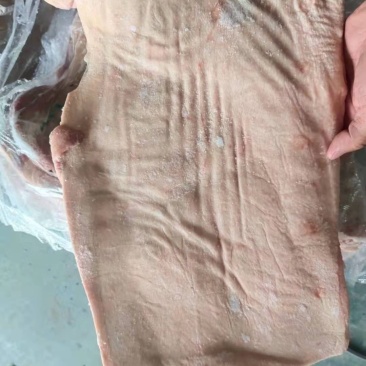 带皮五花肉国产肥猪带皮五花肉。一箱5/6片