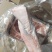 带皮五花肉国产肥猪带皮五花肉。一箱5/6片
