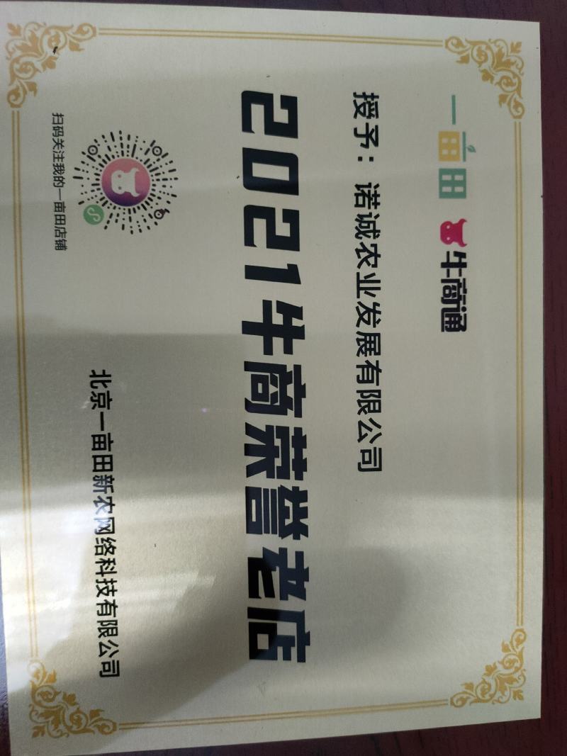 【精品花生】河南开封鲜花生，超市，电商，各大市场供货