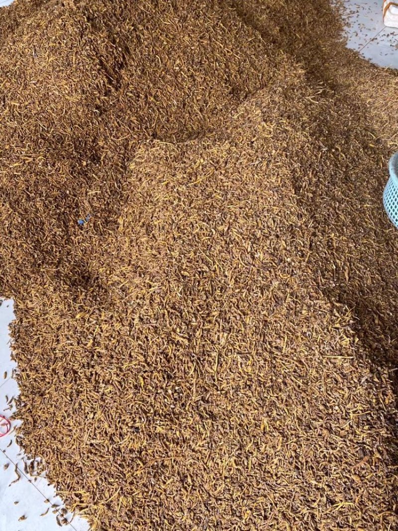 虎牙石斛，一手货源，长期现货供应，部分地区包邮