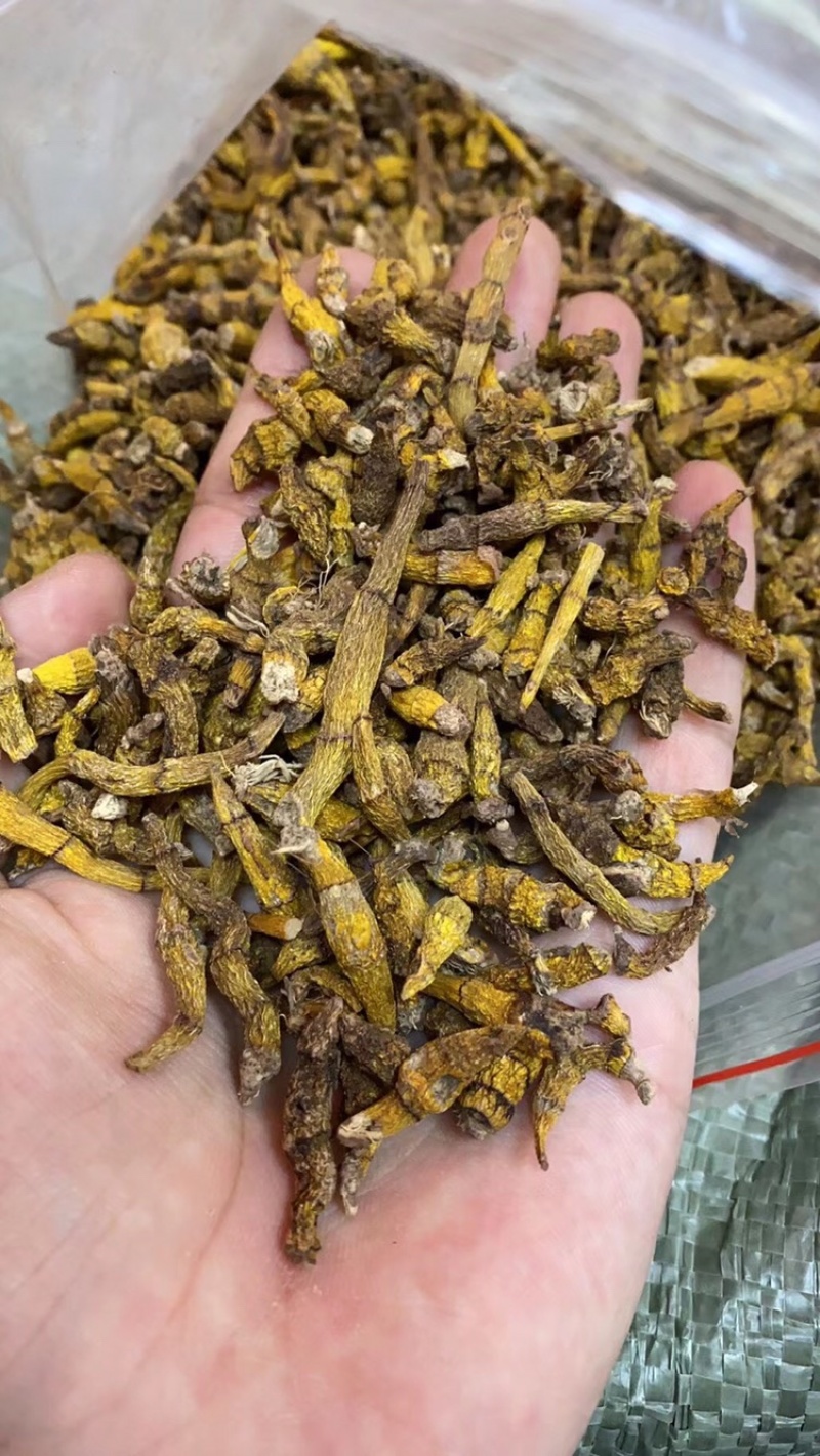 虎牙石斛，一手货源，长期现货供应，部分地区包邮