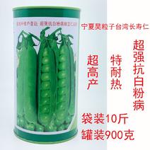 台湾长寿仁豌豆种子高产耐热抗白粉病原装发货支持线上交易