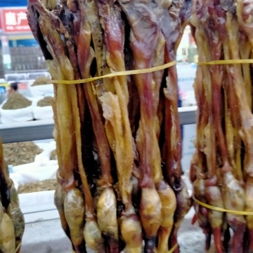 海狗鞭！正宗海狗鞭大货批发零售！保真滋补！一个也是批价！