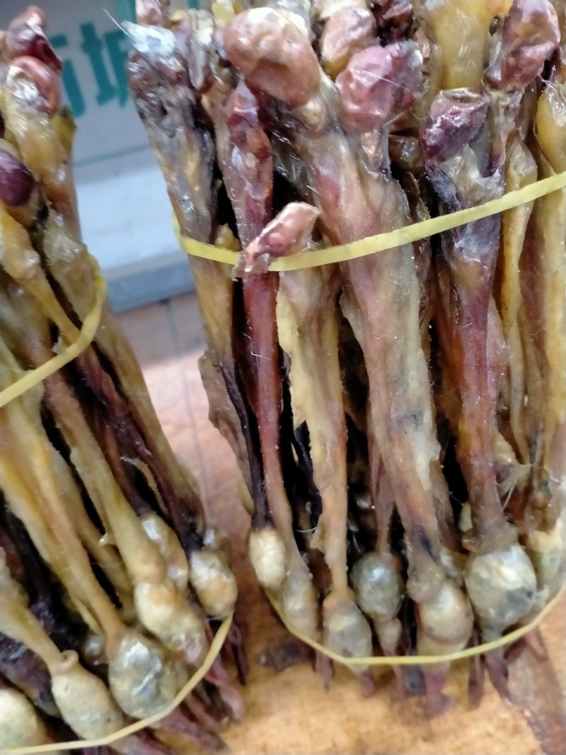 海狗鞭！正宗海狗鞭大货批发零售！保真滋补！一个也是批价！