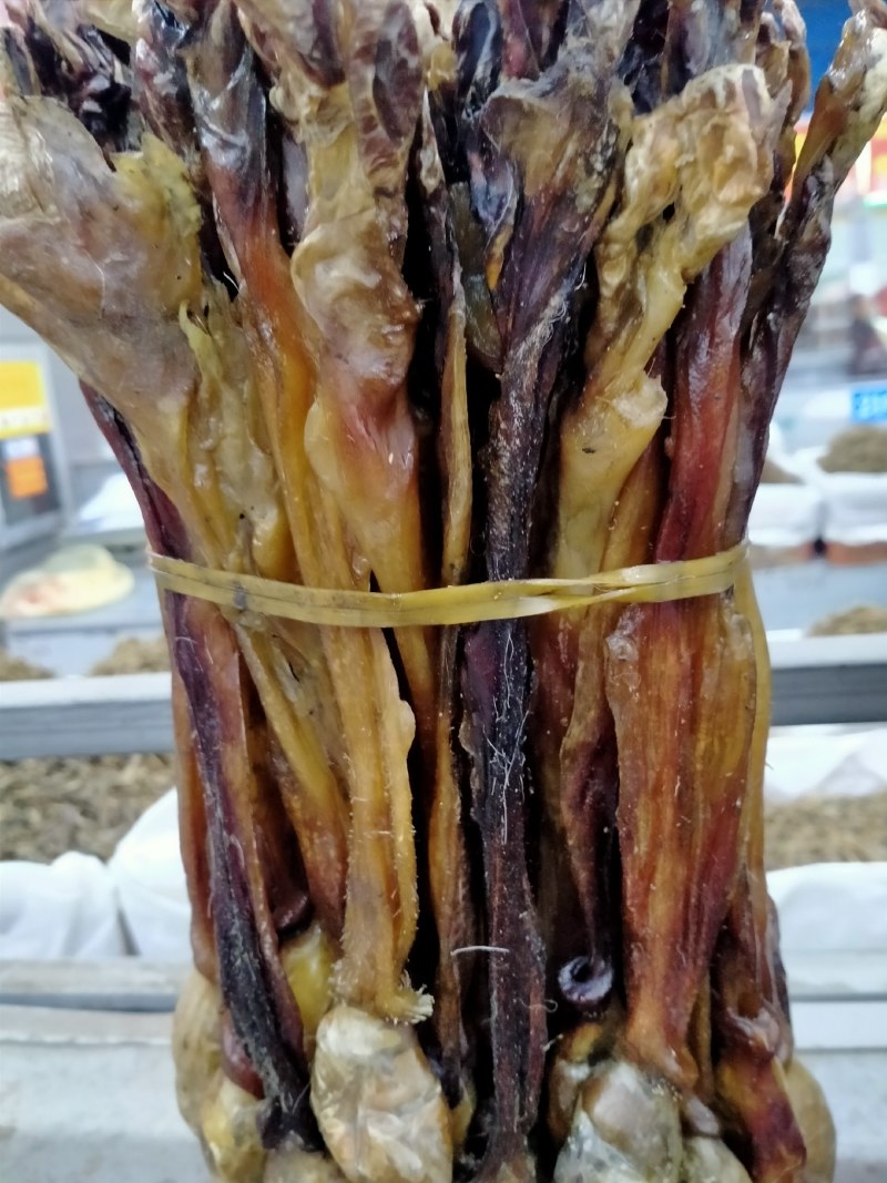 海狗鞭！正宗海狗鞭大货批发零售！保真滋补！一个也是批价！