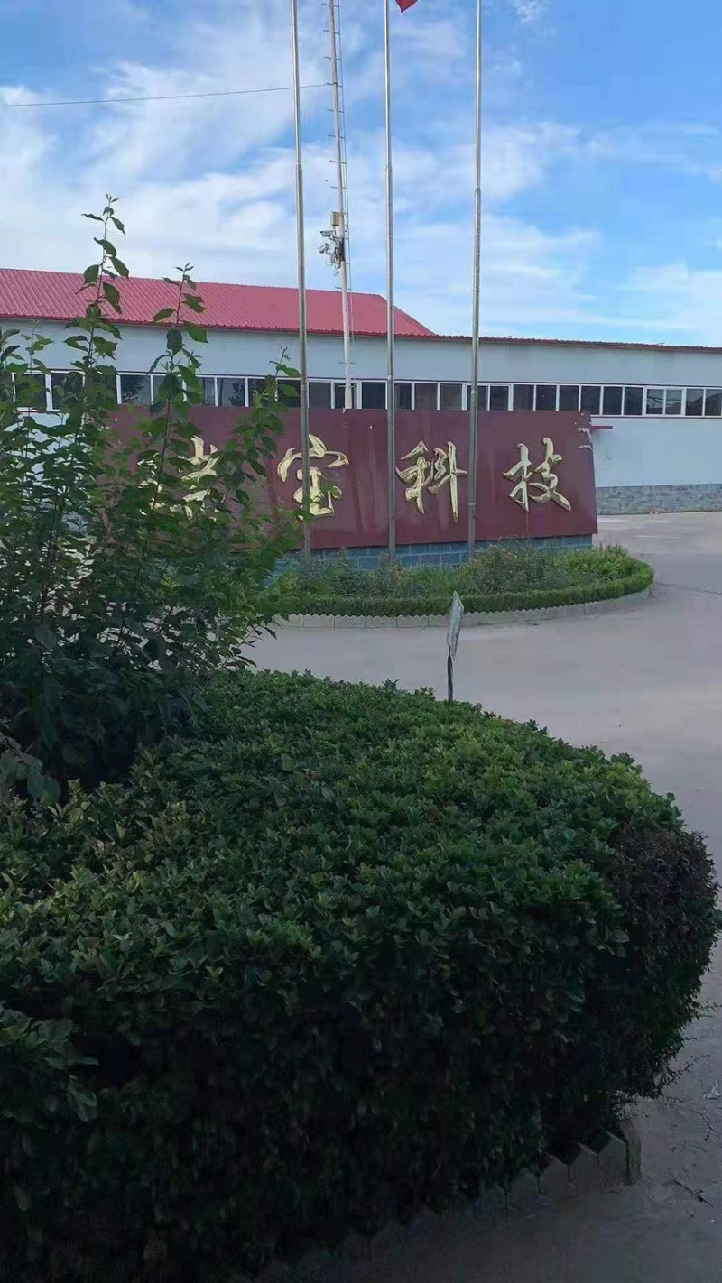 精品优质黑米产地直供质量保证价格低廉货发全国
