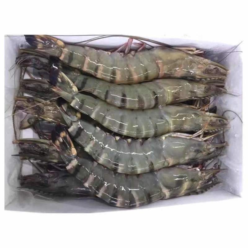 黑虎虾