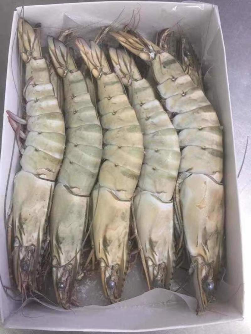 黑虎虾