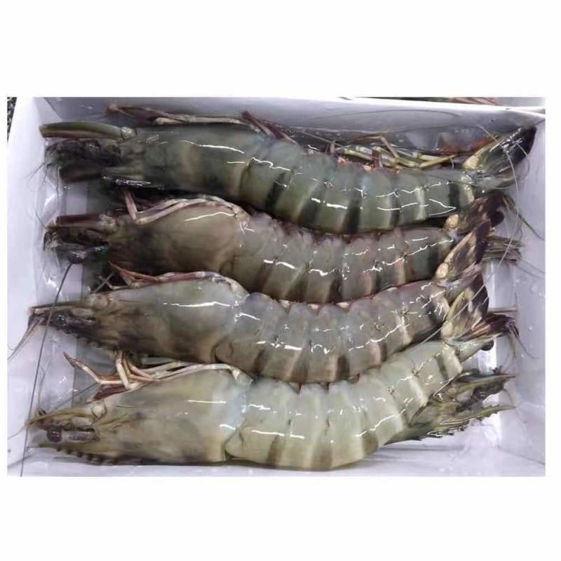 黑虎虾
