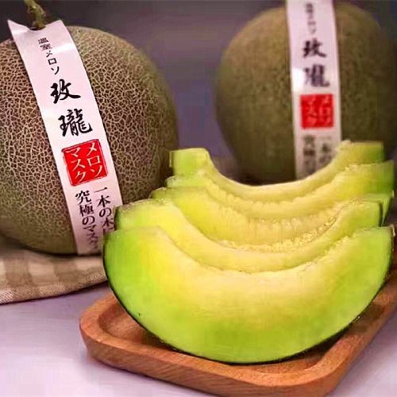精品网纹瓜玫珑鲁厚甜产地直供专业代办欢迎老板前来选购