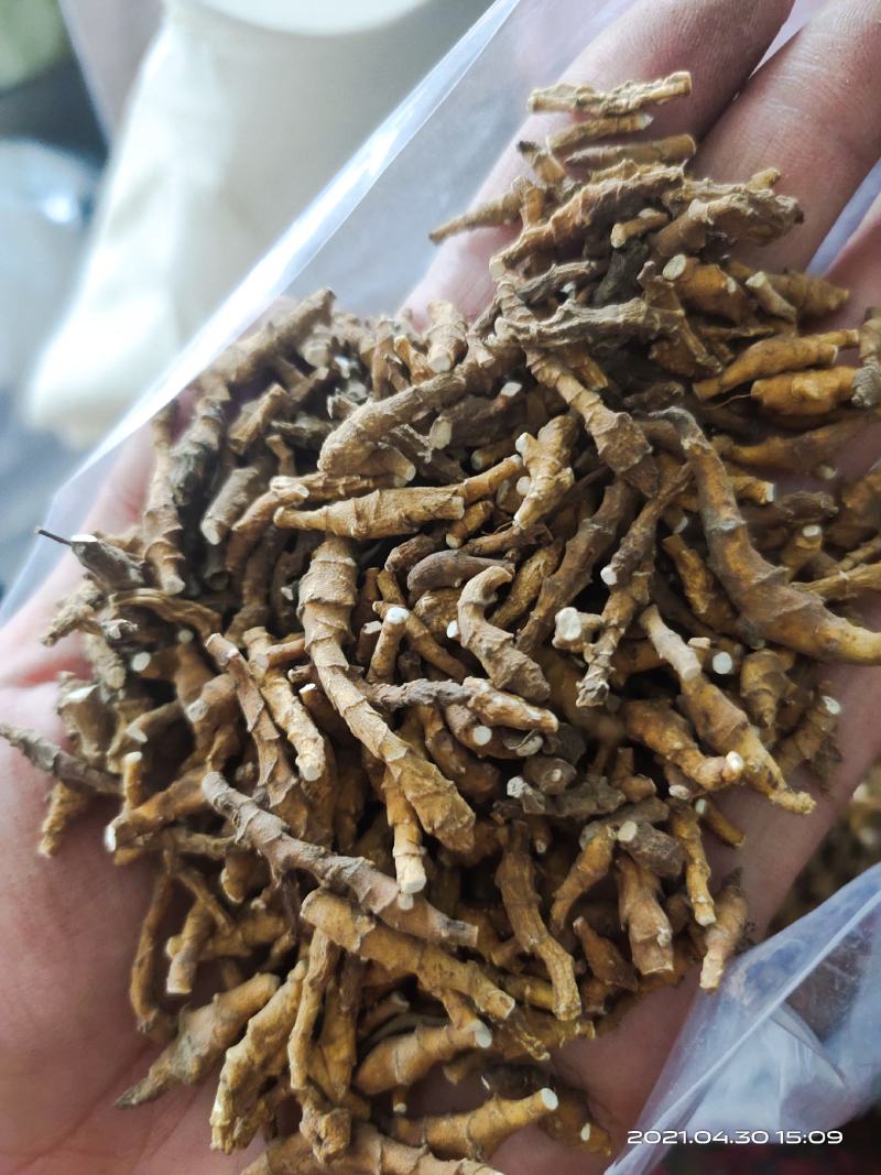【文斌药业】节菖蒲九节菖蒲正品净货