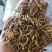 【文斌药业】节菖蒲九节菖蒲正品净货