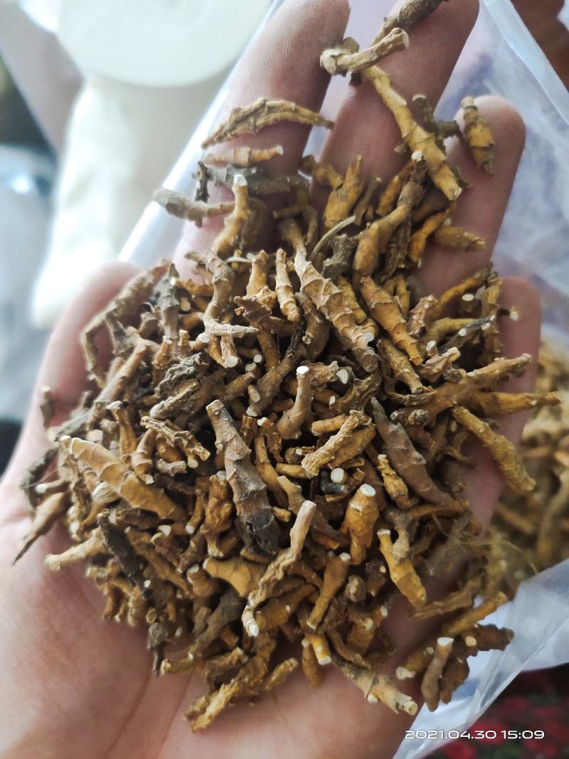 【文斌药业】节菖蒲九节菖蒲正品净货