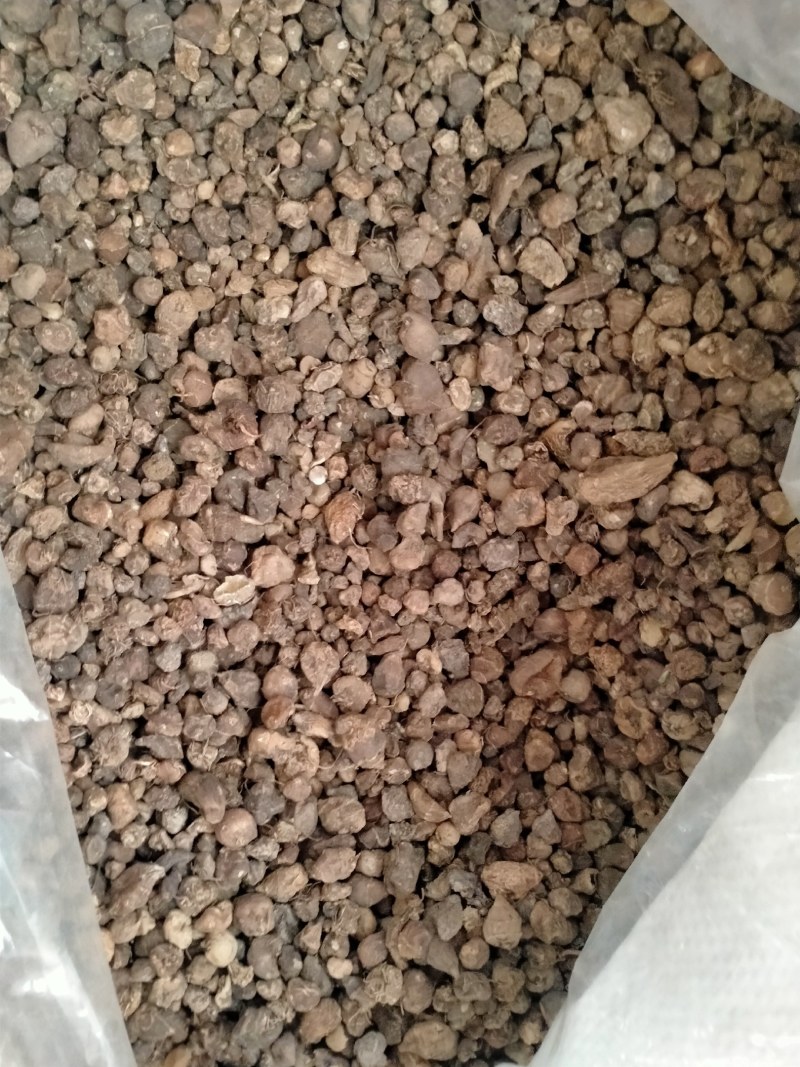 山慈菇，大货批发一手货源含量高，价格优，欢迎朋友们选货