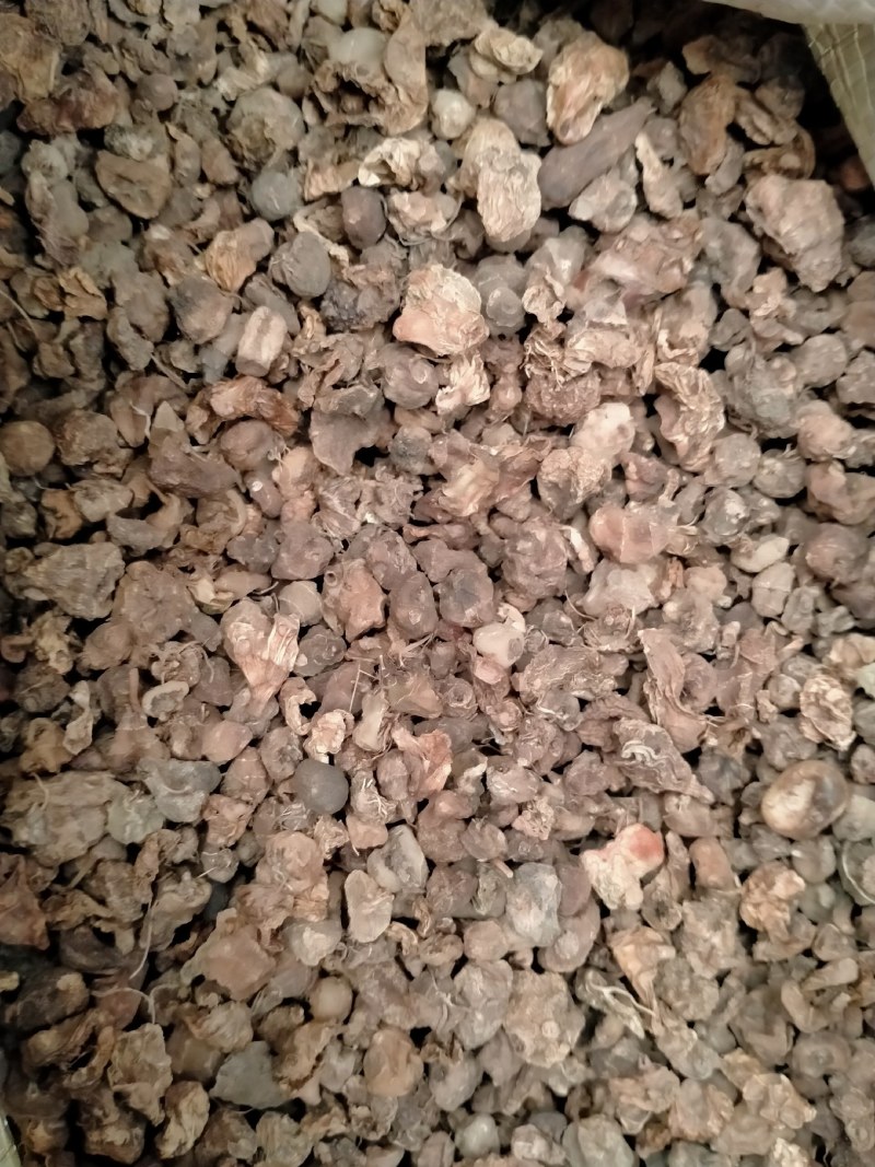 山慈菇，大货批发一手货源含量高，价格优，欢迎朋友们选货