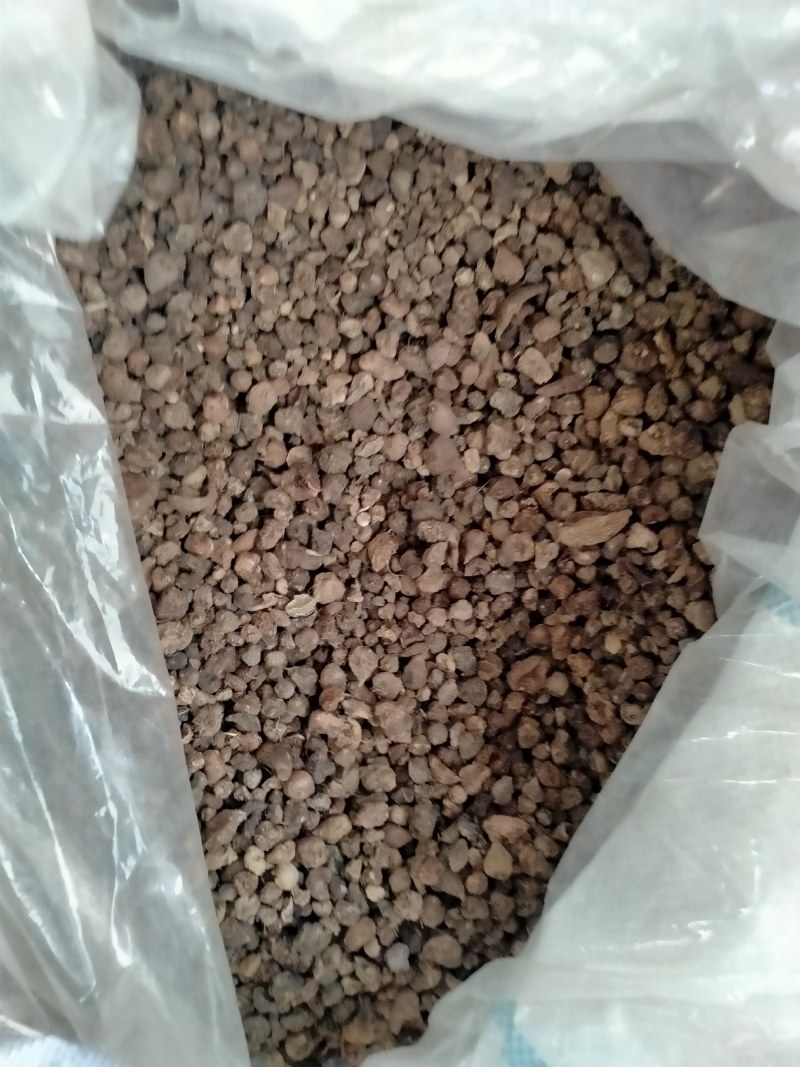 山慈菇，大货批发一手货源含量高，价格优，欢迎朋友们选货