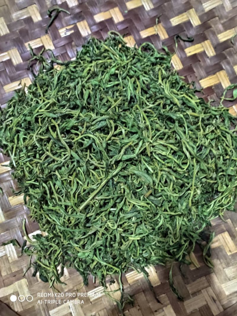 古树单株