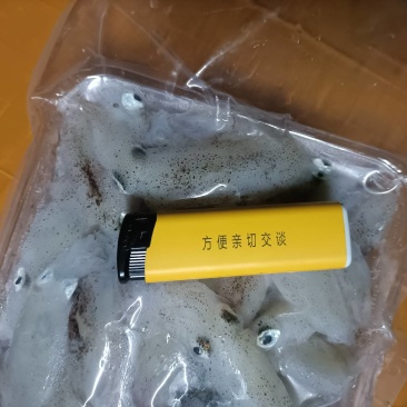 槐花鱿鱼