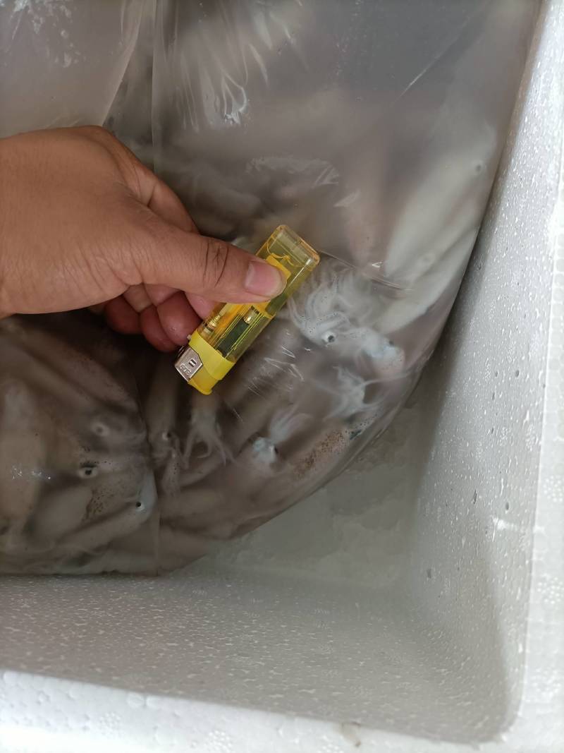 槐花鱿鱼