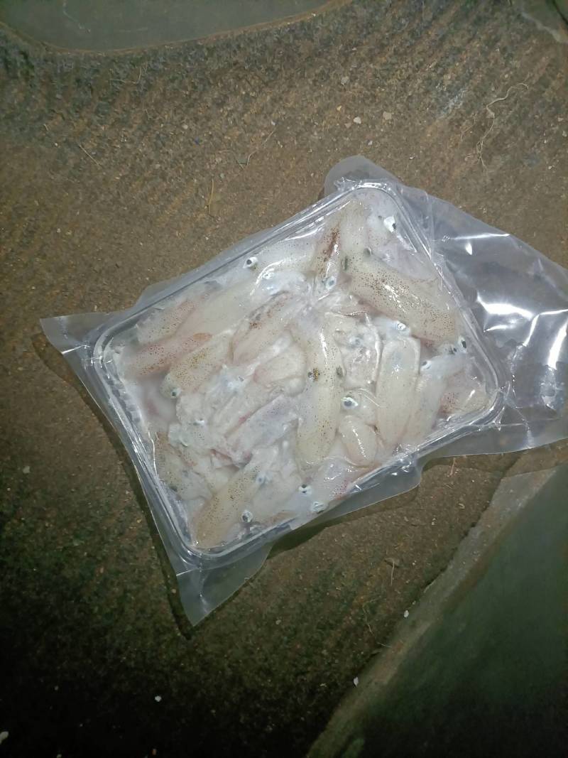 槐花鱿鱼
