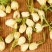 茉莉花干花花草茶新鲜头春茉莉花茶叶批发
