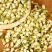 茉莉花干花花草茶新鲜头春茉莉花茶叶批发