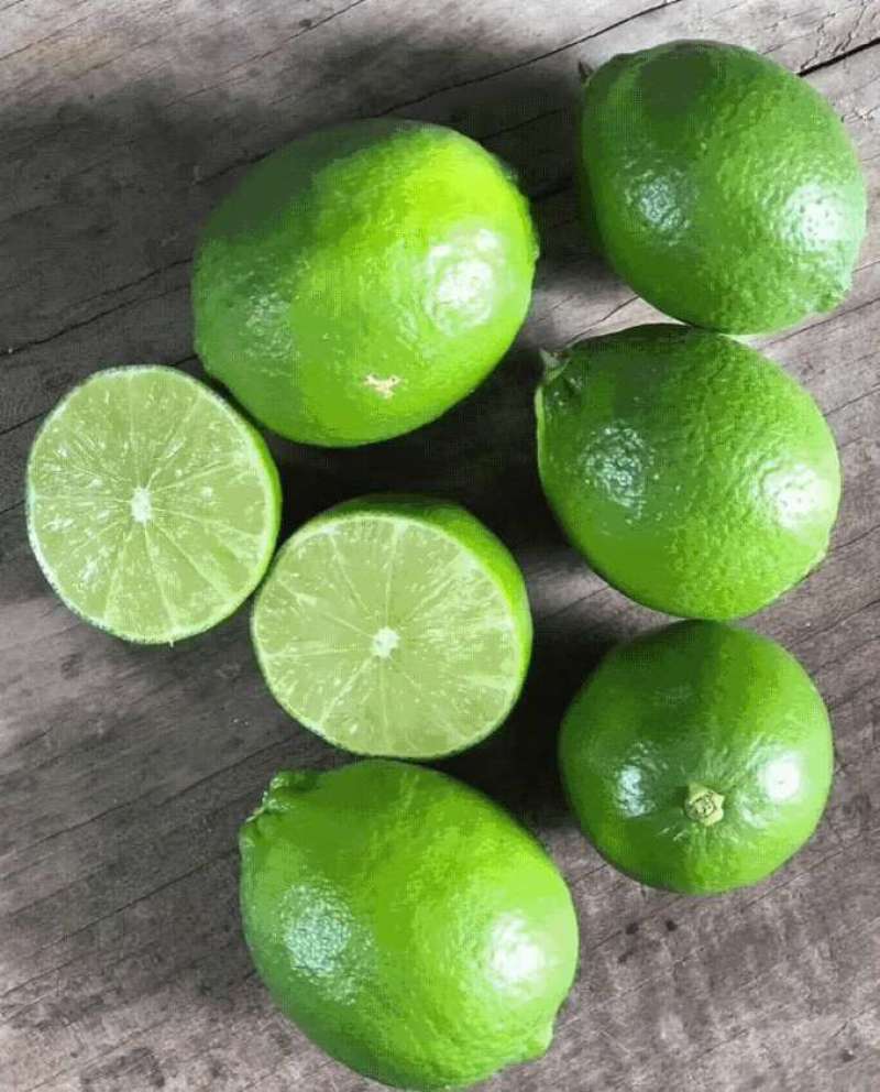 柠檬树苗台湾香水柠檬无籽青柠苗尤力克柠檬苗四季结果