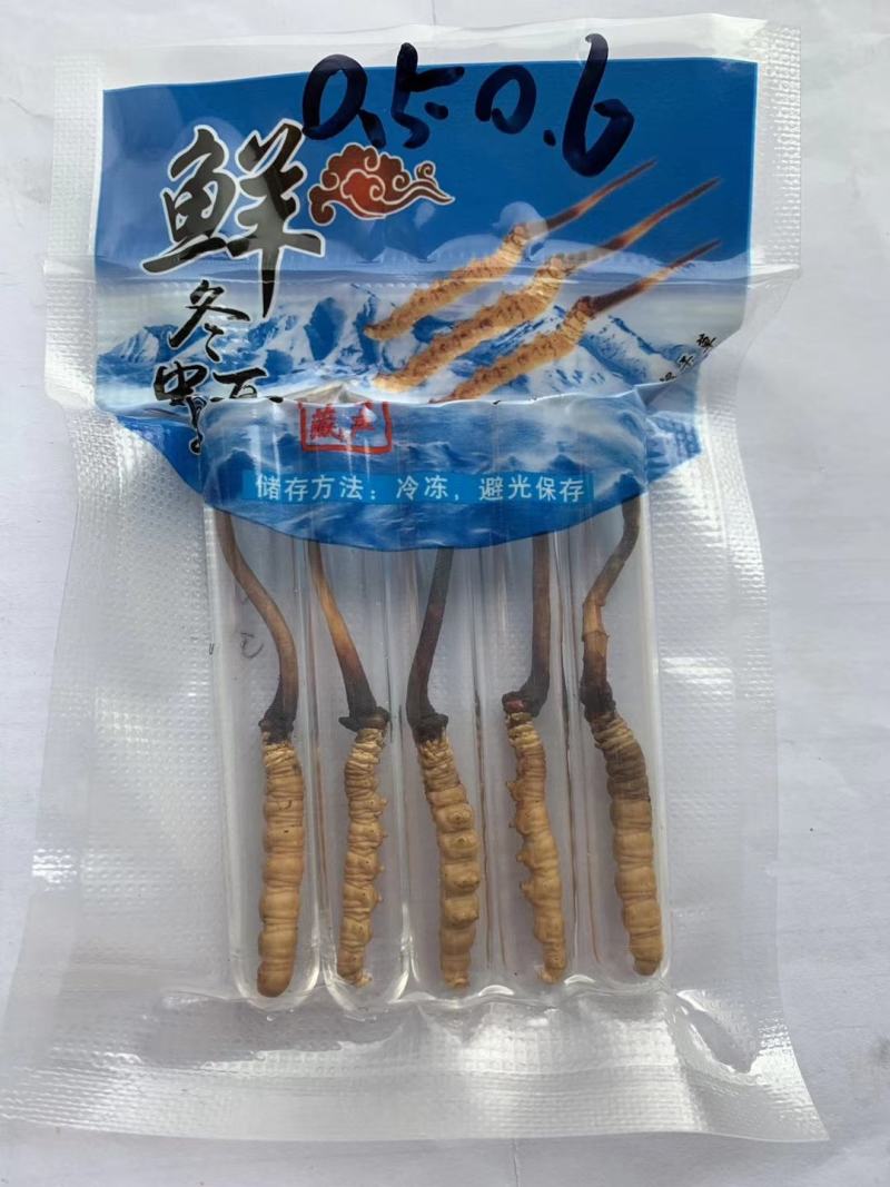 青海西宁交易市场主要搞批发