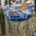 青海西宁交易市场主要搞批发
