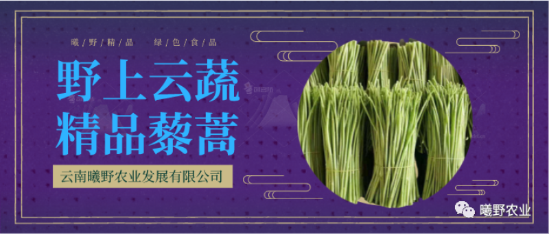 一级净黎蒿，现摘现发