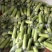 白玉奶油丝瓜，看上的老板滴滴我………………