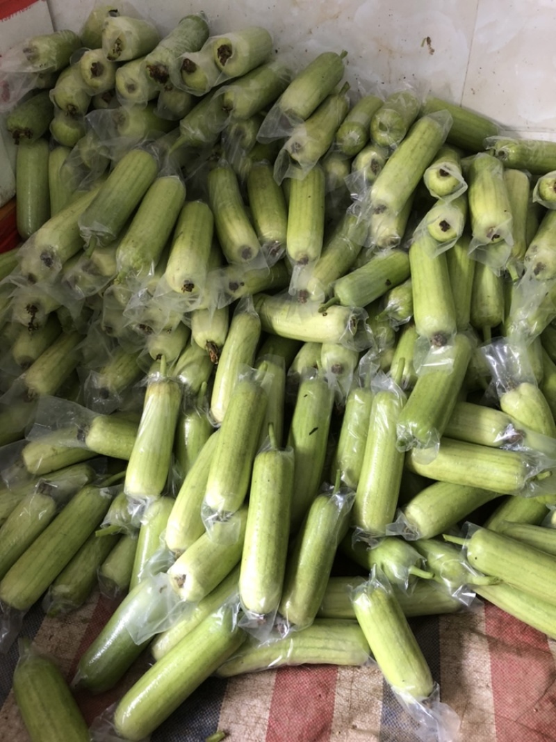 白玉奶油丝瓜，看上的老板滴滴我………………