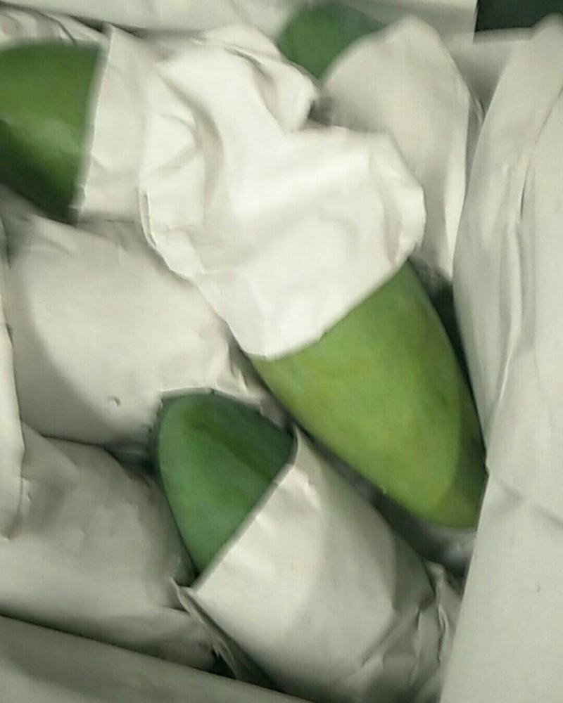 越南青芒