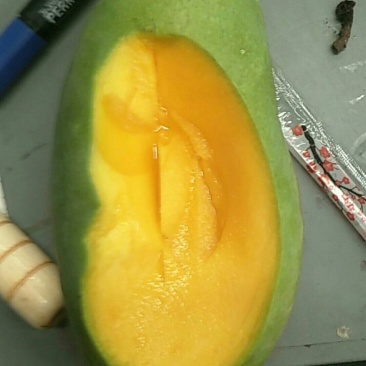 越南青芒