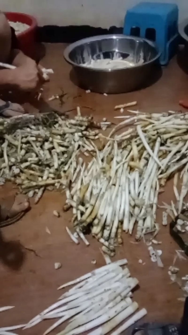 草牙菜象牙菜特色野菜云南文山特色菜水生菜