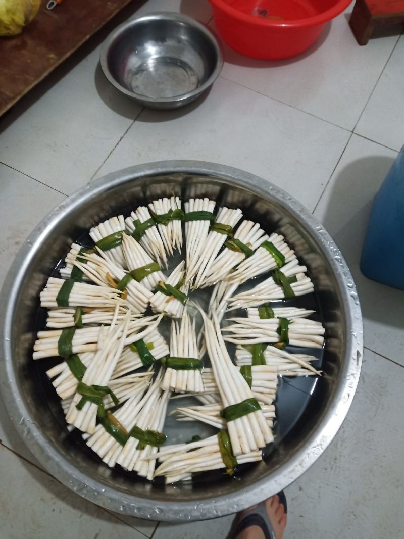 云南文山新鲜象牙菜出售，每天都有新鲜货需要的联系