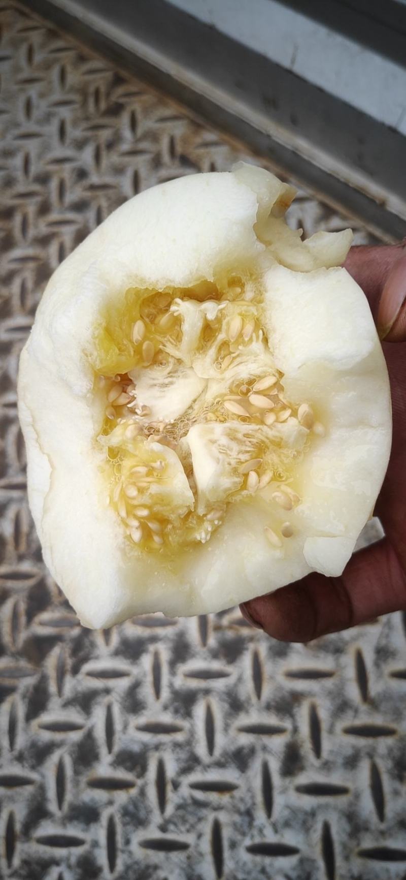 精品砀山水果香瓜西瓜