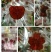 水果梨子苹果梨膏棒棒糖