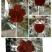 水果梨子苹果梨膏棒棒糖