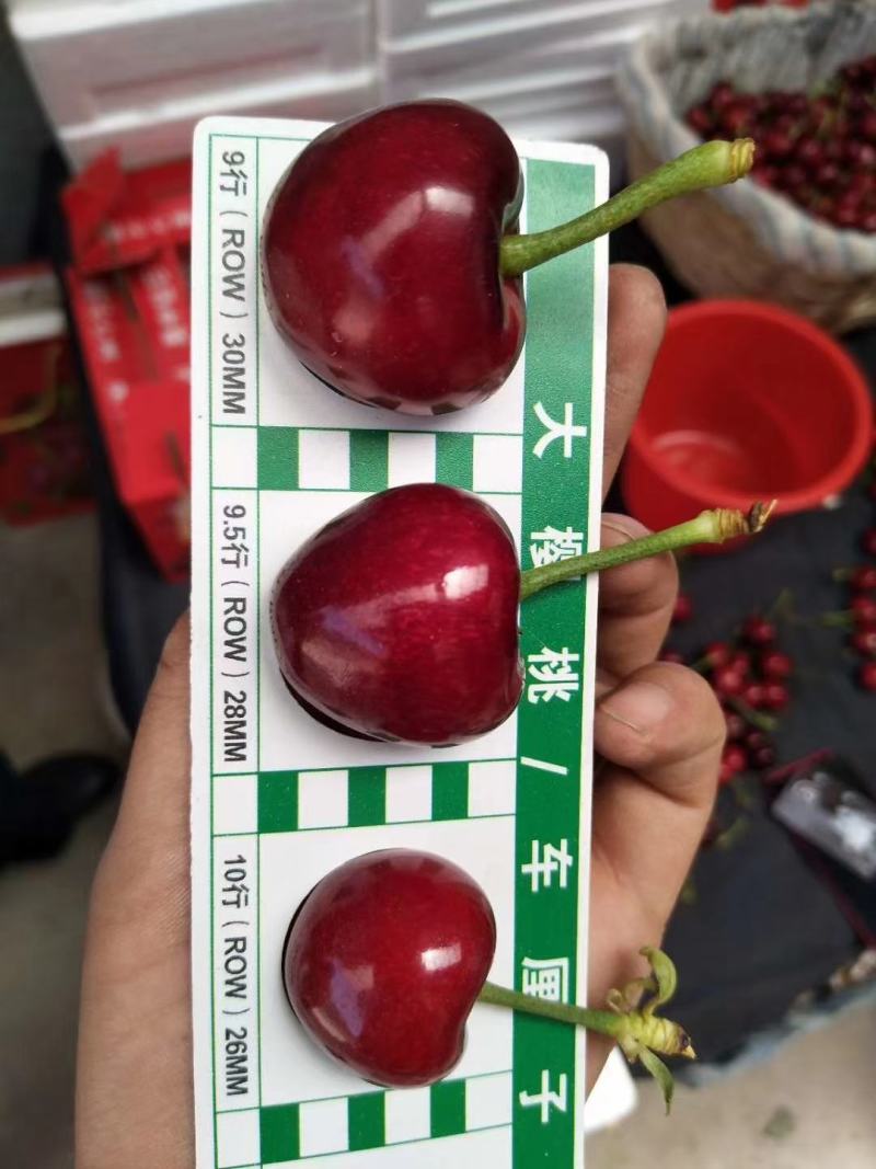水果