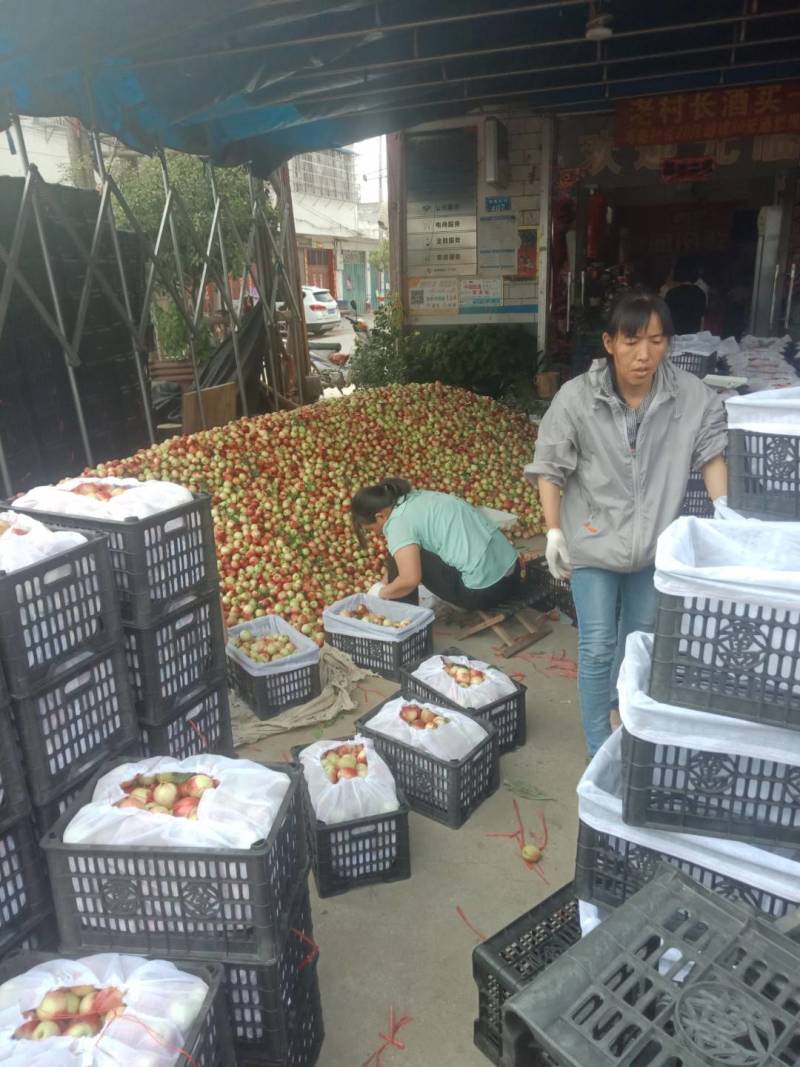 助农扶贫爱心人士到了该出力时就出手，露天518油桃滞销了