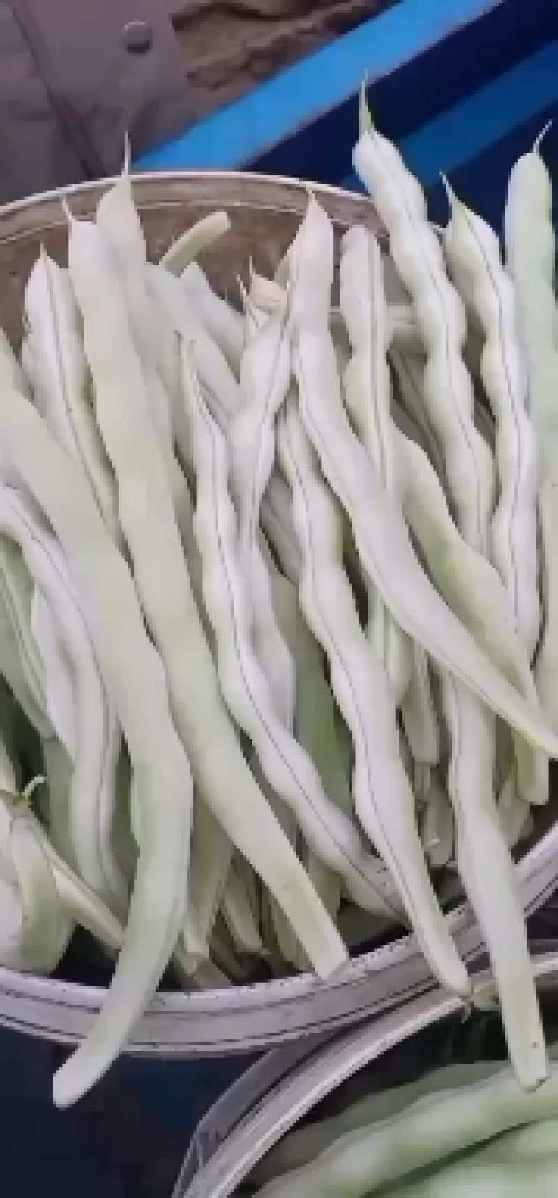 精品芸豆大量供应超市。市场。小贩