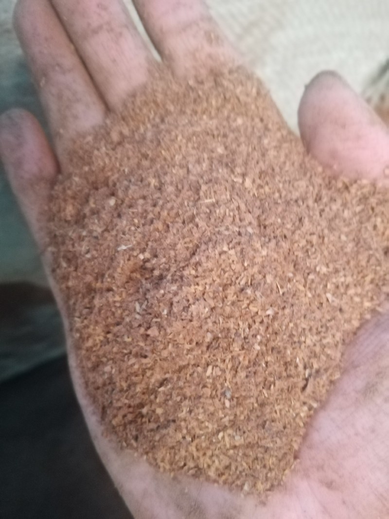大量供应四川宜宾白酒糟，营养好，价格优，养殖好饲料