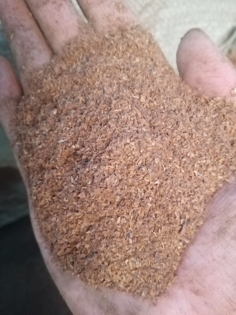 大量供应四川宜宾白酒糟，营养好，价格优，养殖好饲料
