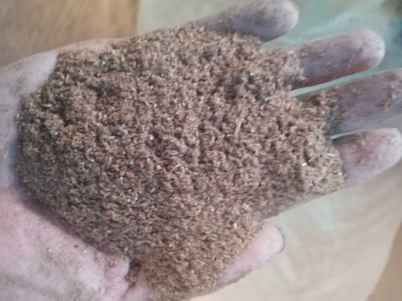 大量供应四川宜宾白酒糟，营养好，价格优，养殖好饲料
