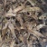 【文斌药业】地龙全开小地龙基本没有泥头